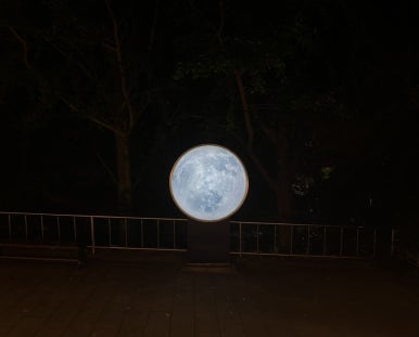 부산오징어 이미지