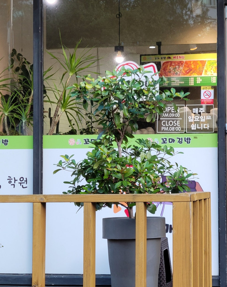 해맑은꼬마김밥 이미지