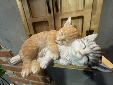 금정푸드 이미지