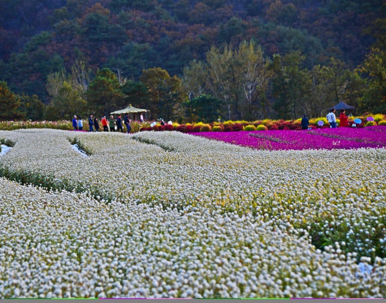 철원문화재단 이미지