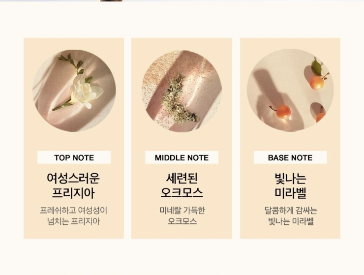 노마드블룸 이미지