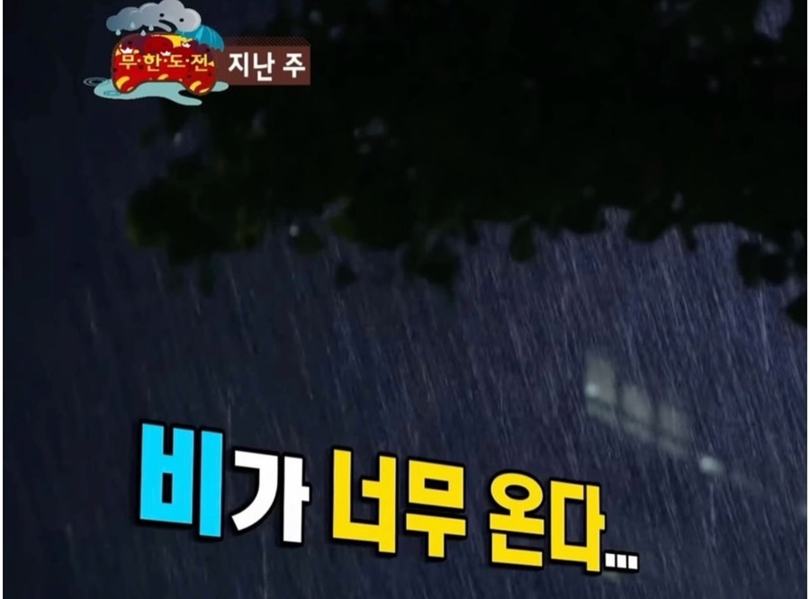 크림우드 이미지