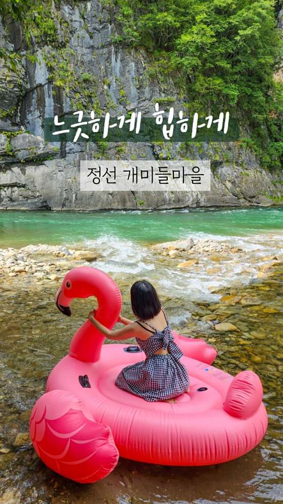 개미들솔향기야영장 이미지