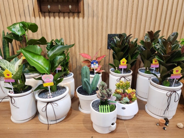 단골꽃집 이미지