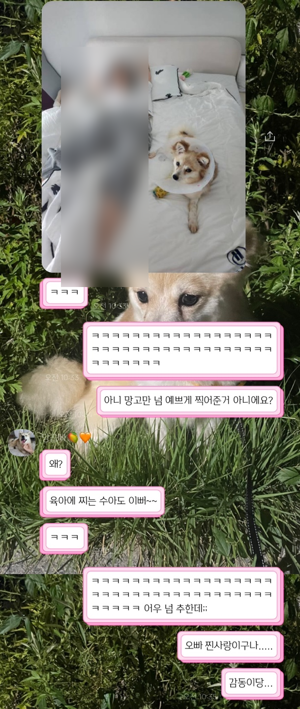 롯데리아 아산용화점 이미지