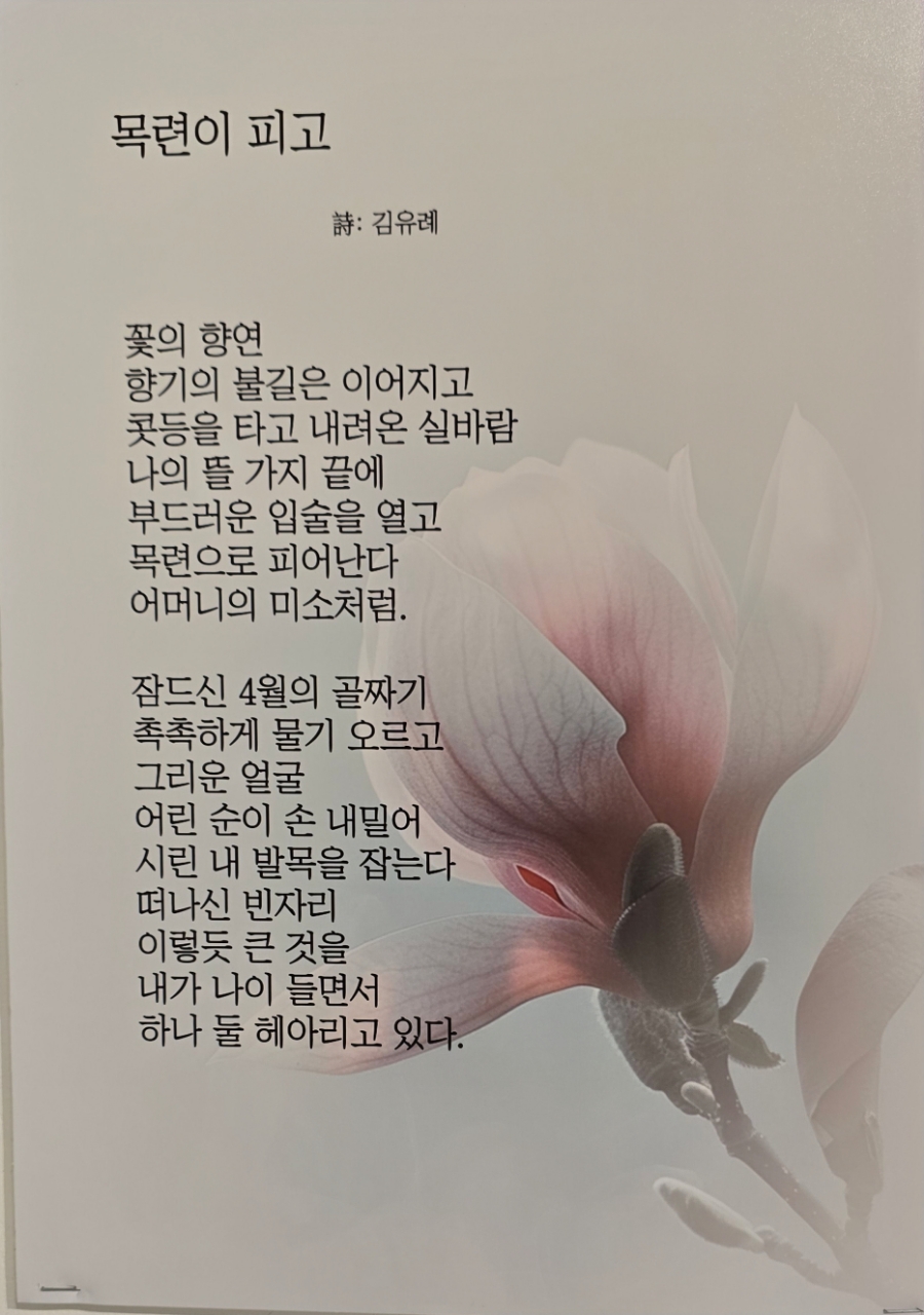 부선 이미지