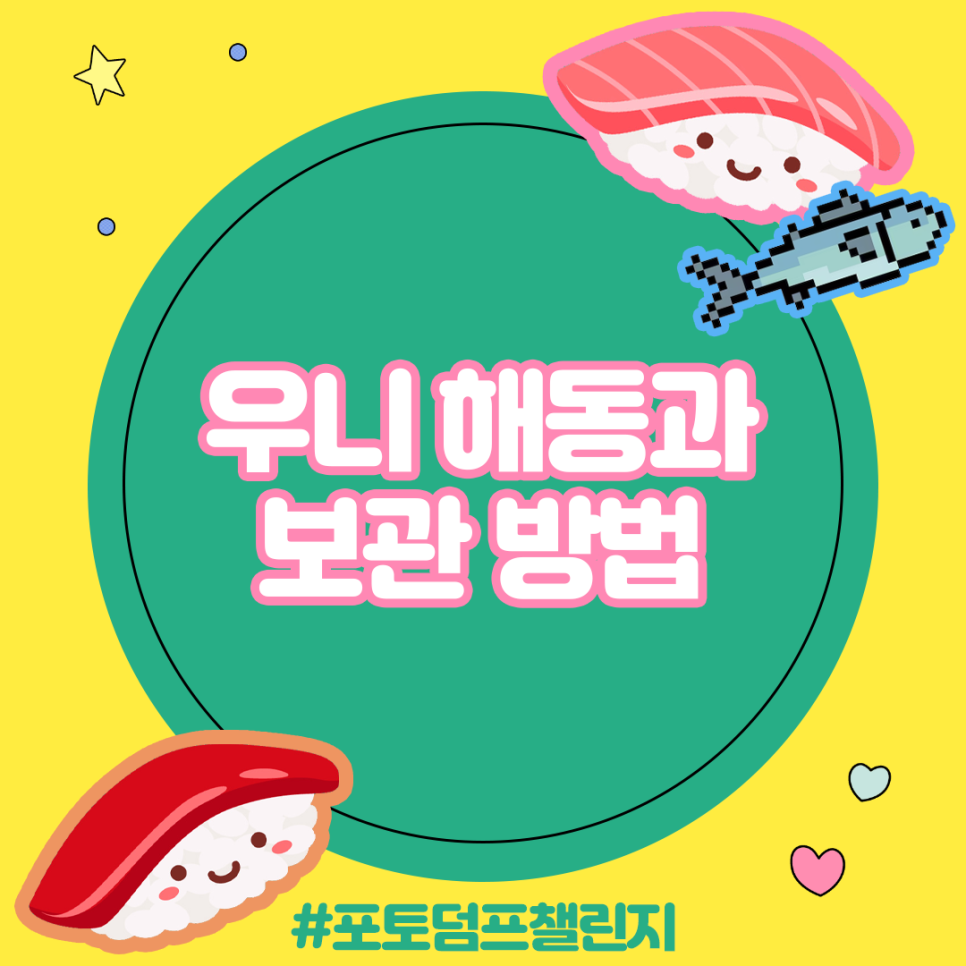 해동유통주 이미지