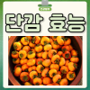 단감 효능 부작용 단감 수확시기 단감 종류 : 네이버 블로그