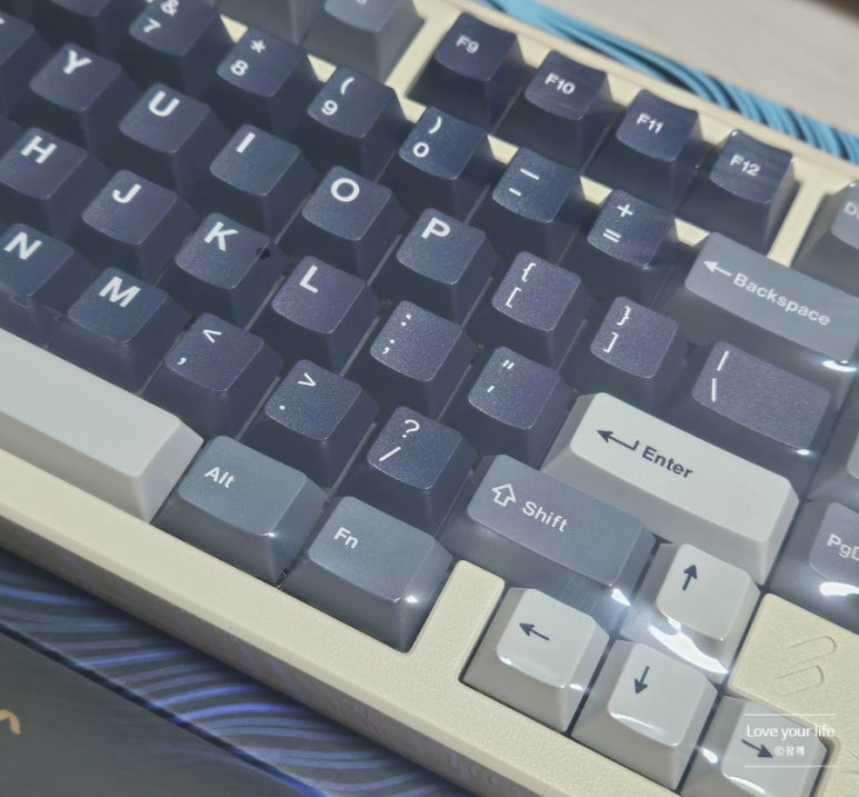 도골도골 이미지
