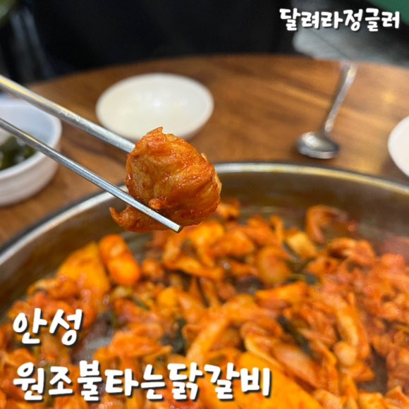 원조불타는닭갈비 이미지