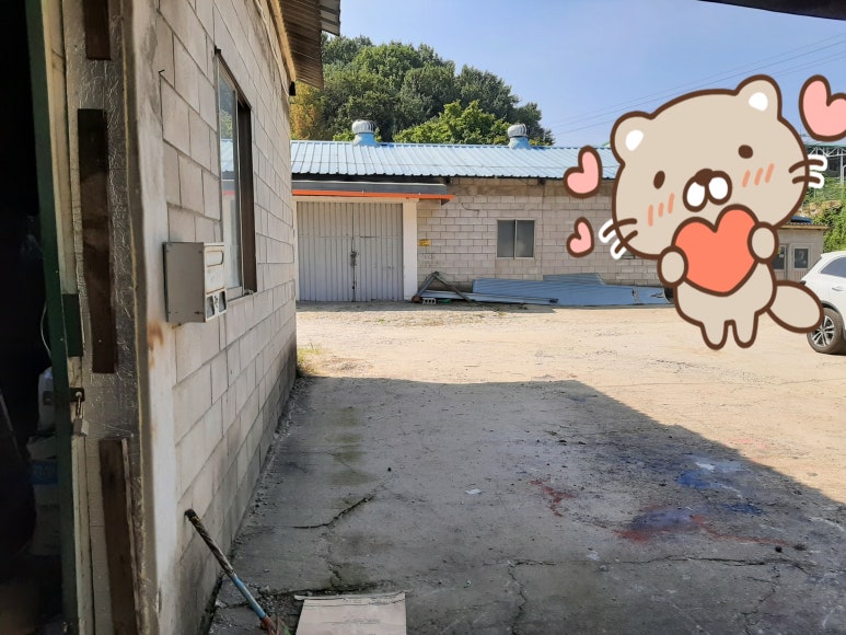 독도부동산 이미지