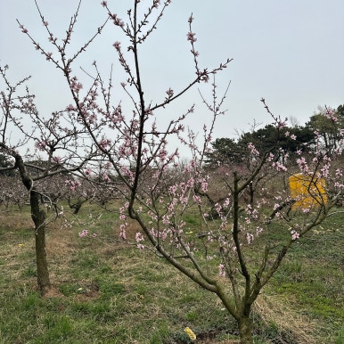 로우스테이트 이미지
