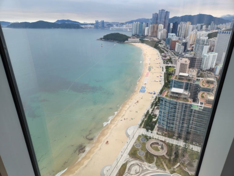 이씨횟집 이미지