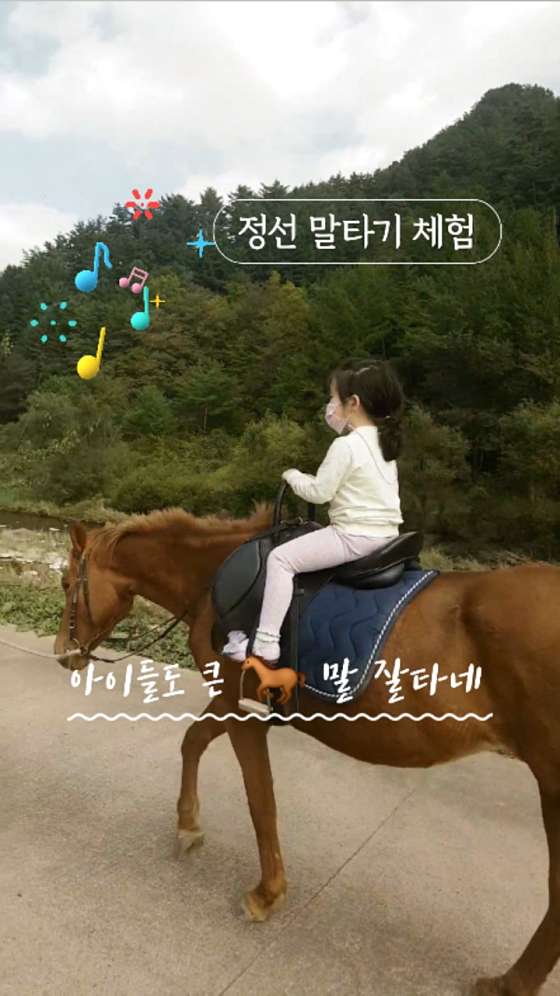 화암카트체험장 이미지