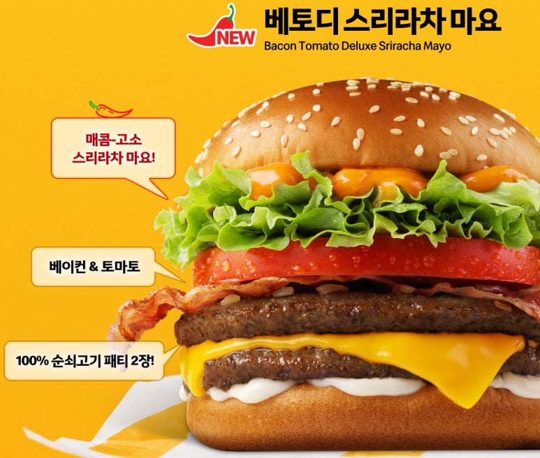 베로티 이미지