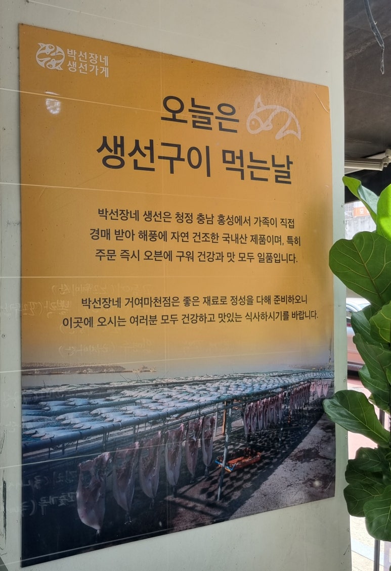 박선장네 이미지