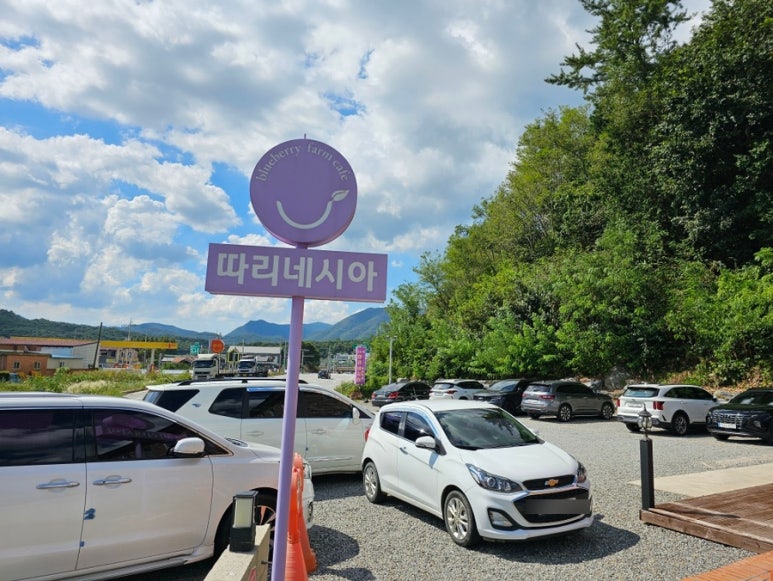 카페따리네시아 이미지