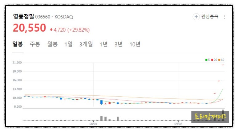 다보테크 이미지