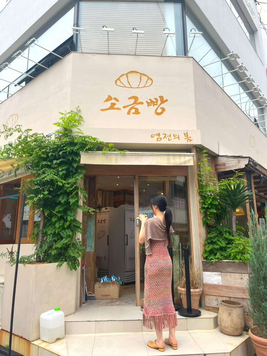 염전의봄 이미지