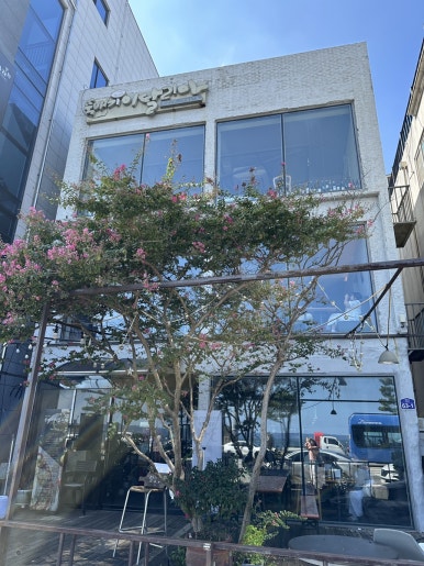 돌핀스모텔 이미지