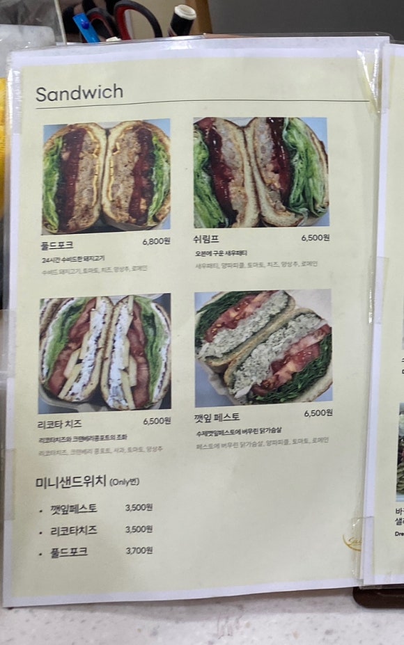 샐디치 이미지
