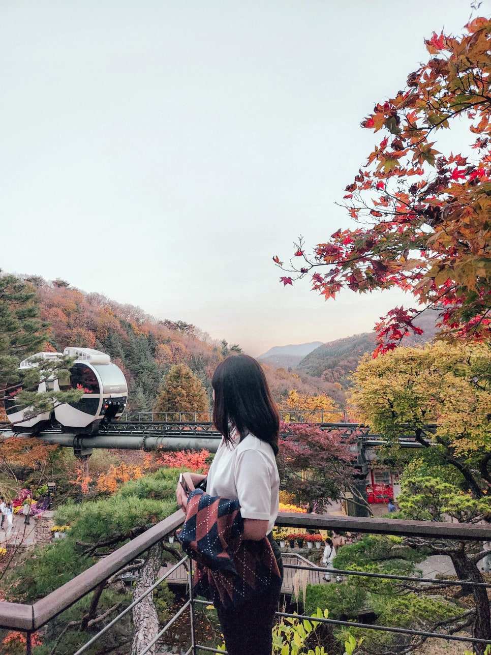 화담조경 이미지
