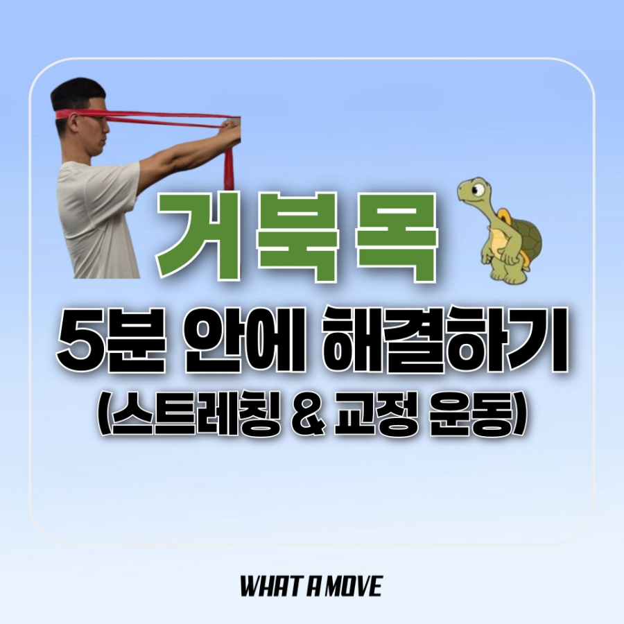 왓어무브 이미지