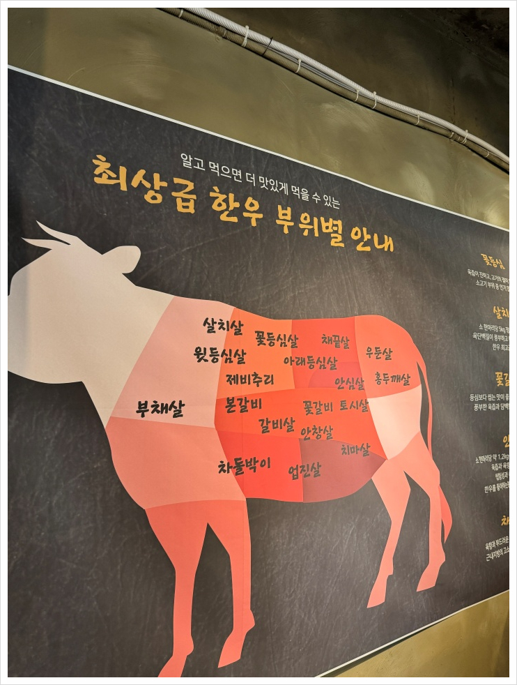 마루한 이미지