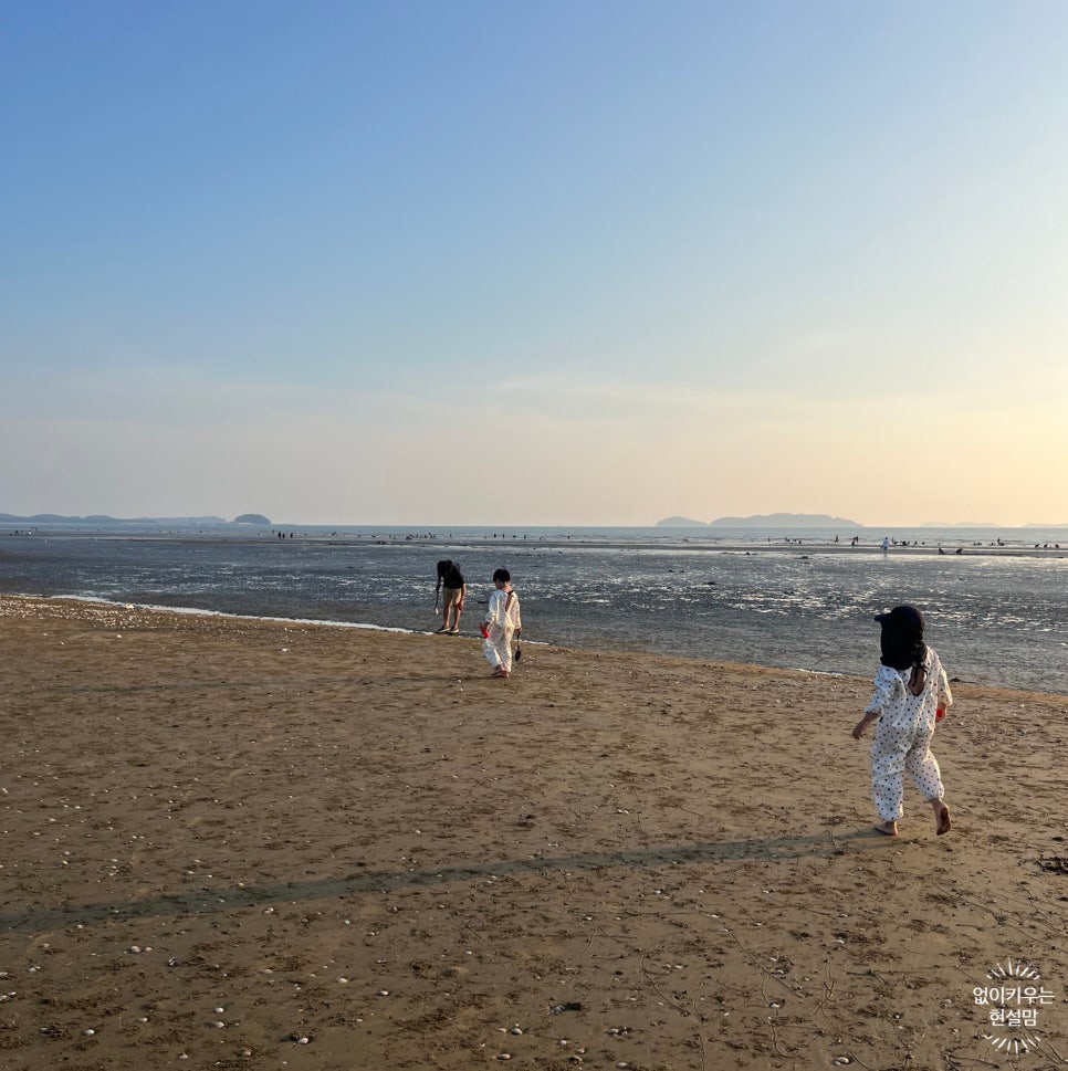 몽산포랑바다랑 이미지