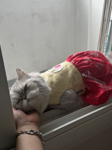 술입구 이미지