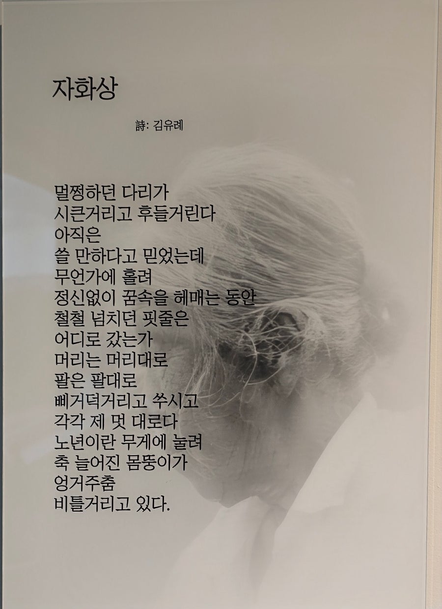 부선 이미지