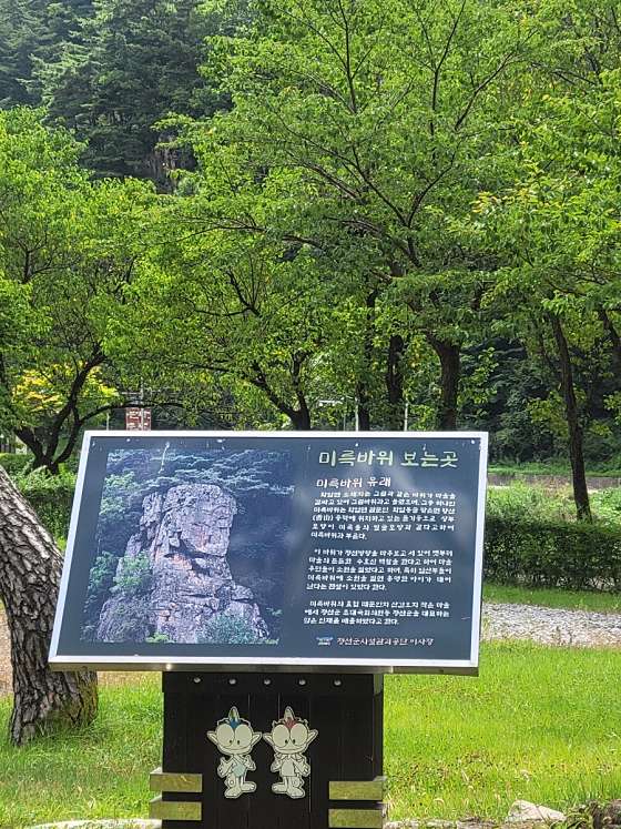 라만차의 돈키호테 캠핑장 이미지