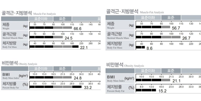 바디메틱 이미지