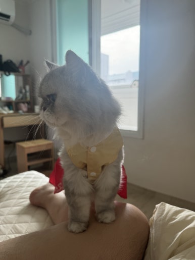 술입구 이미지
