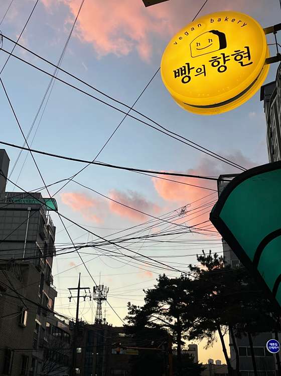 빵의향현 이미지
