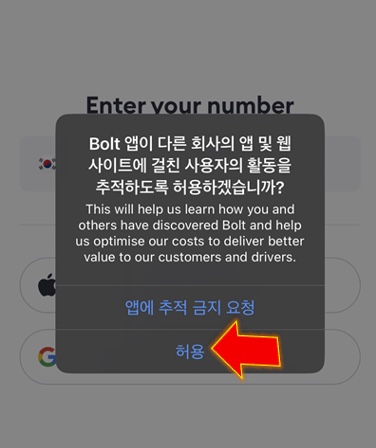 볼트빈 이미지