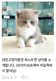 재리헤어 이미지