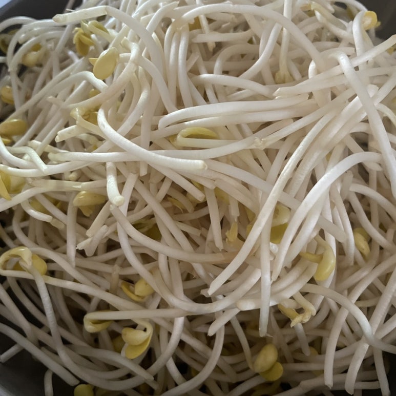 부연궁양꼬치 이미지