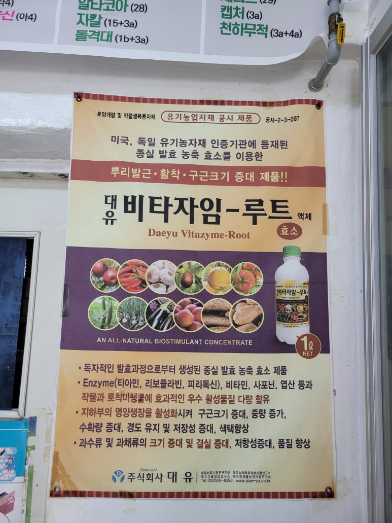 제일종묘사 이미지