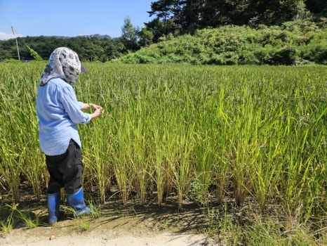 순창군농산물종합가공센터 이미지