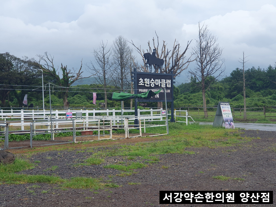 초원승마클럽 이미지