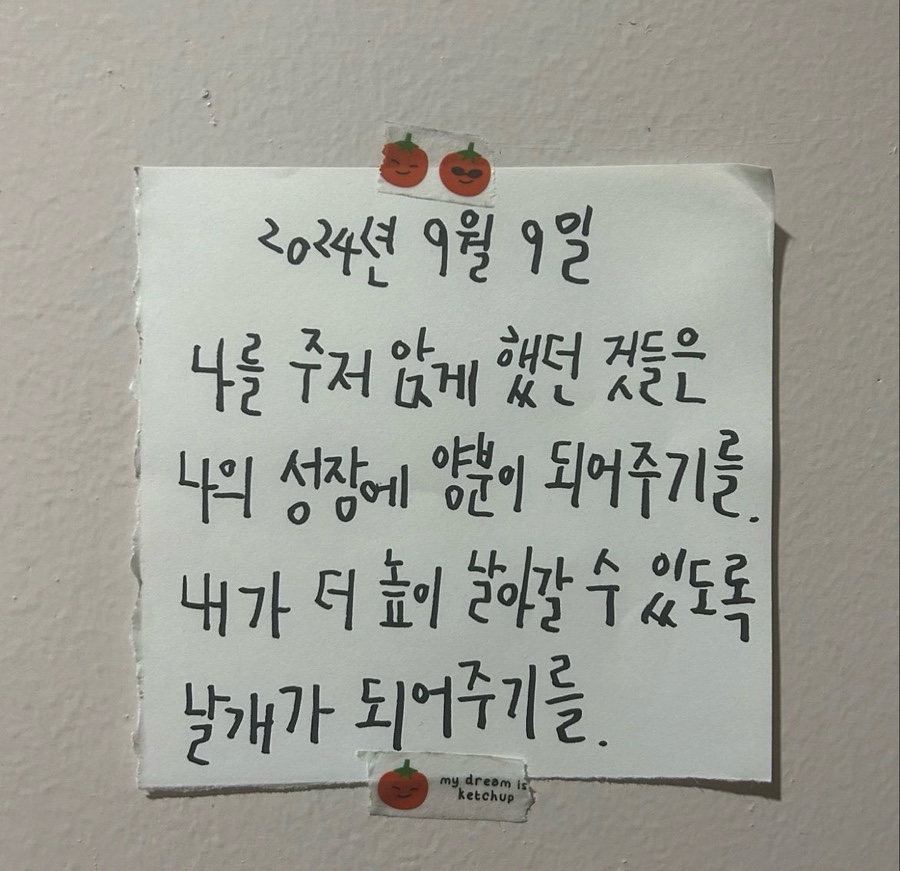 라이브컬쳐 이미지