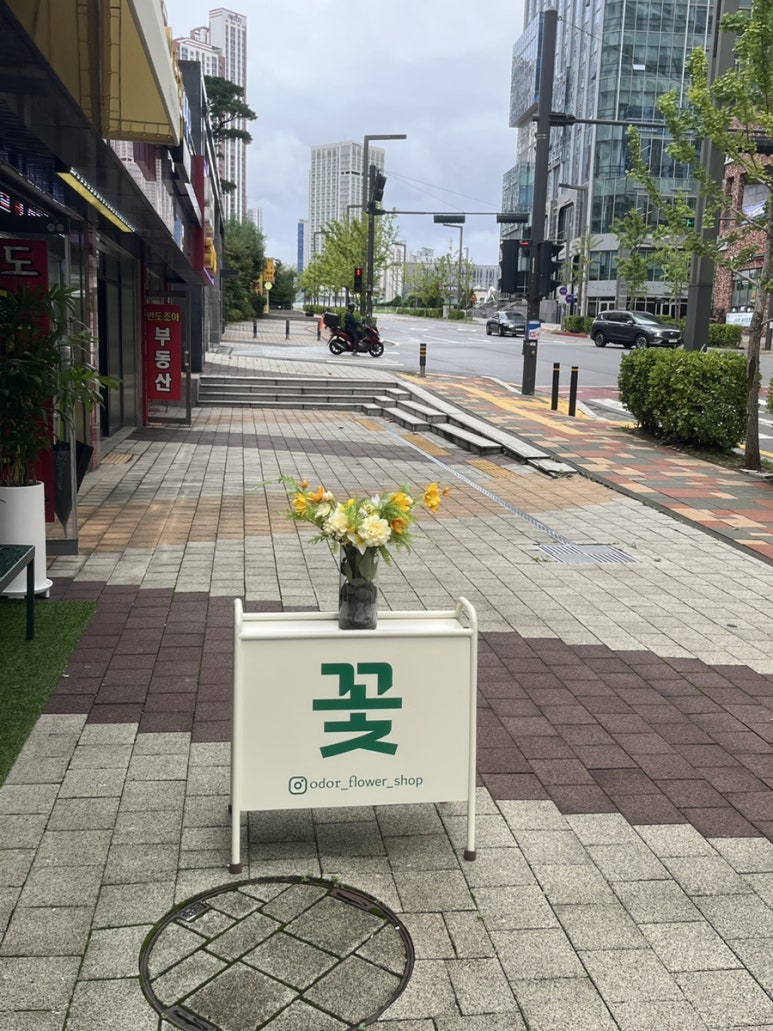 오도르플라워 이미지