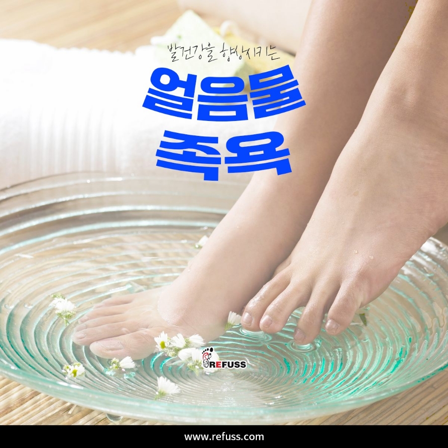 레푸스 이미지