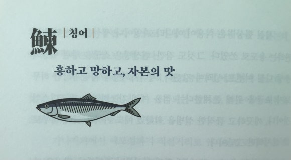 사카나 이미지