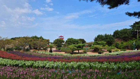 목연식당 이미지