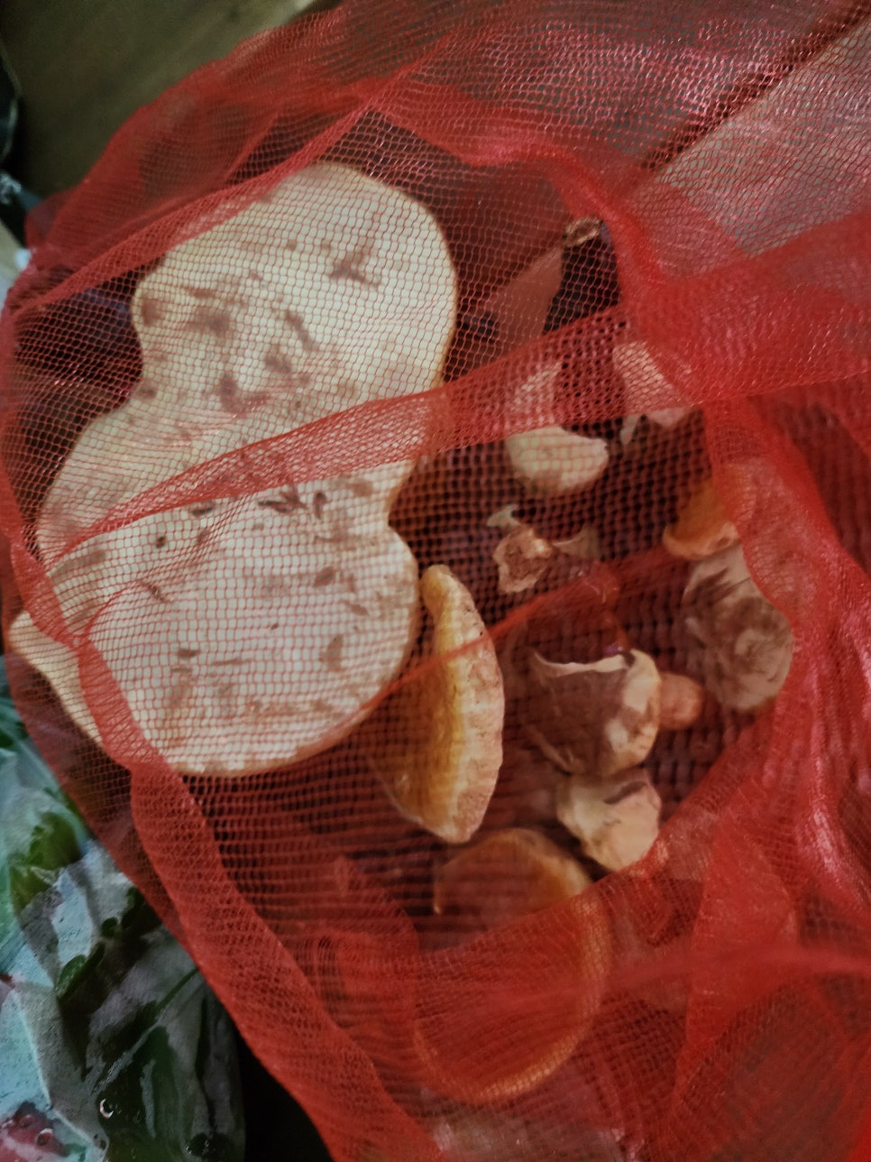 언하주유소 이미지