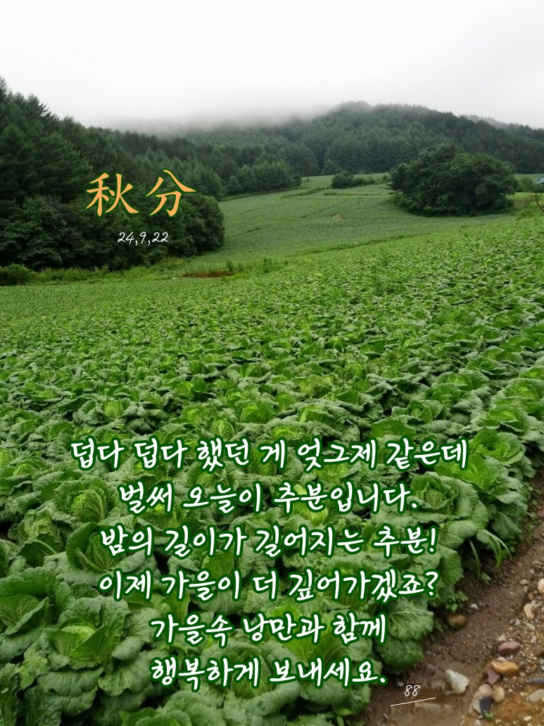 센티미터 이미지