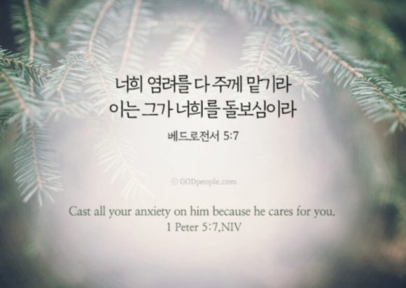 카페파스쿠찌 이미지