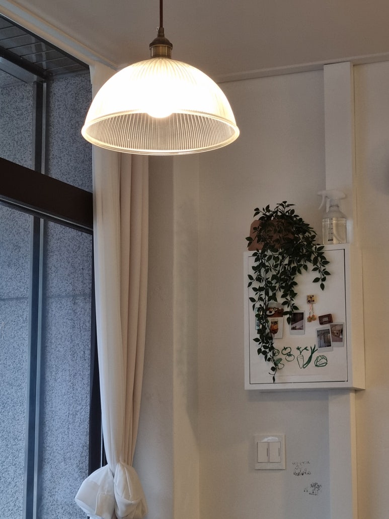 무르밀 이미지
